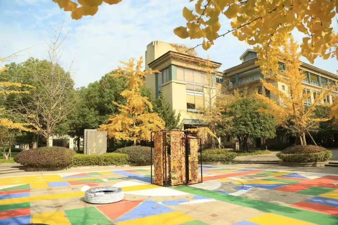 【校园采风】杭州市绿城育华学校:看似"不务正业",却让家长给了孩子一