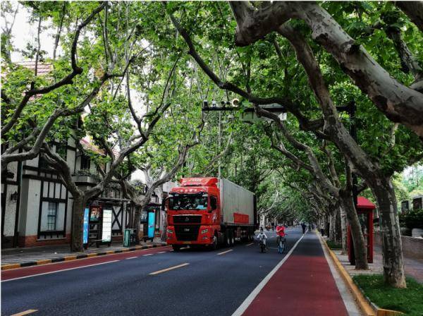 上海这些独具氛围感的小马路苏醒了！