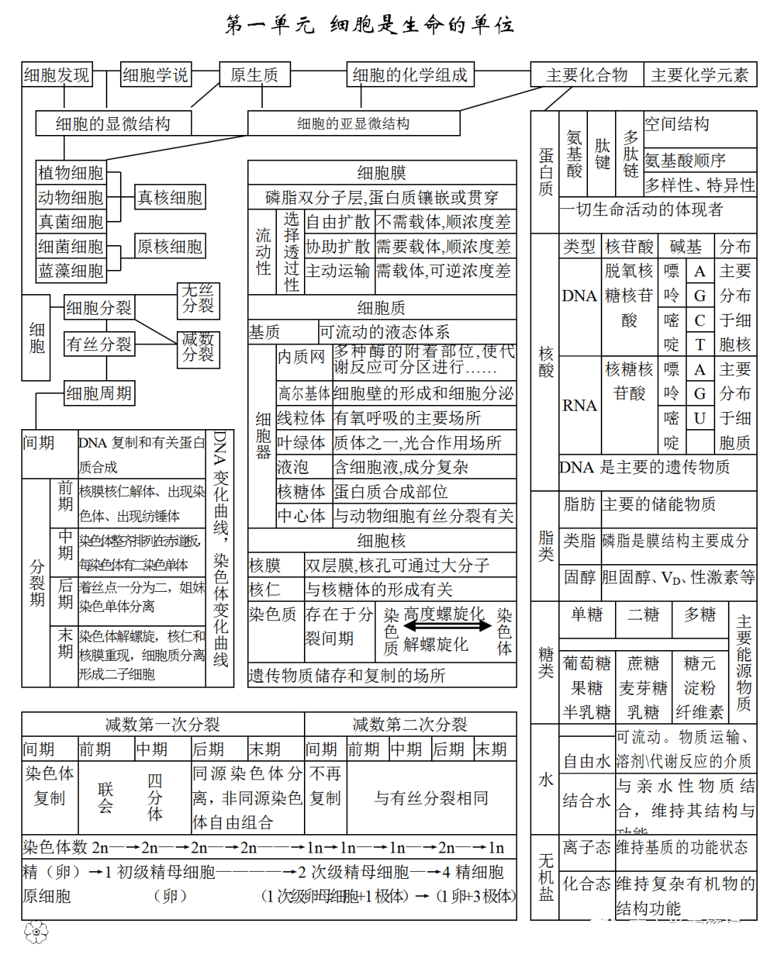 高考生物高中生物知识点思维导图汇总