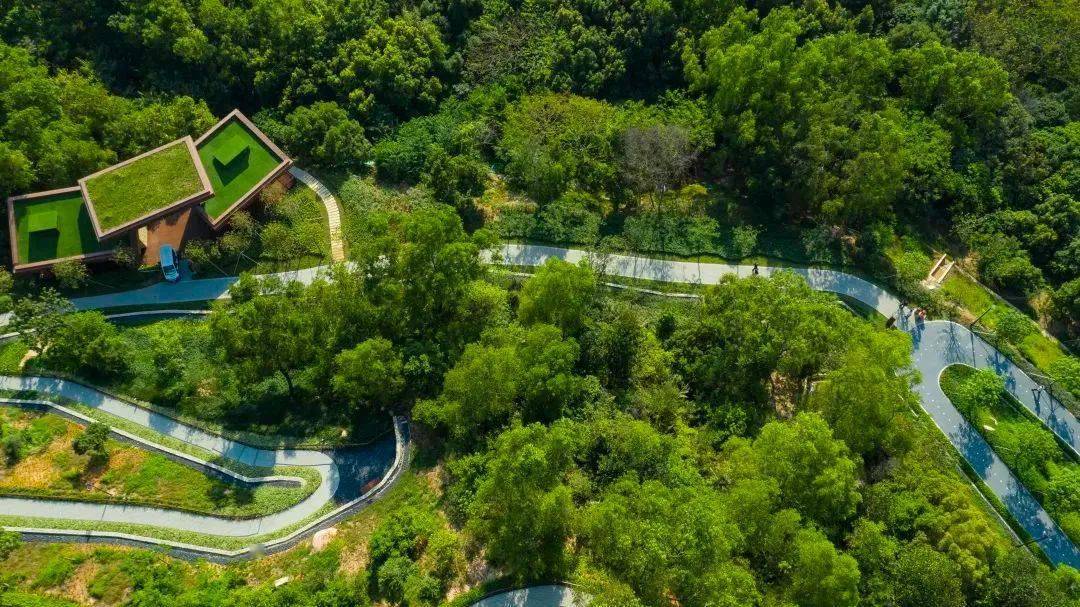 深圳遛娃无障碍山地公园网红栈桥环山步道高颜值amp超有爱可以从早逛