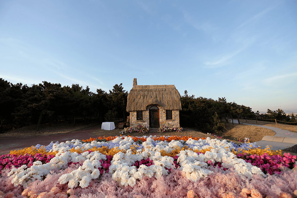 时隔三年再迎客青岛城阳红岛蛤蜊节引领潮流生活