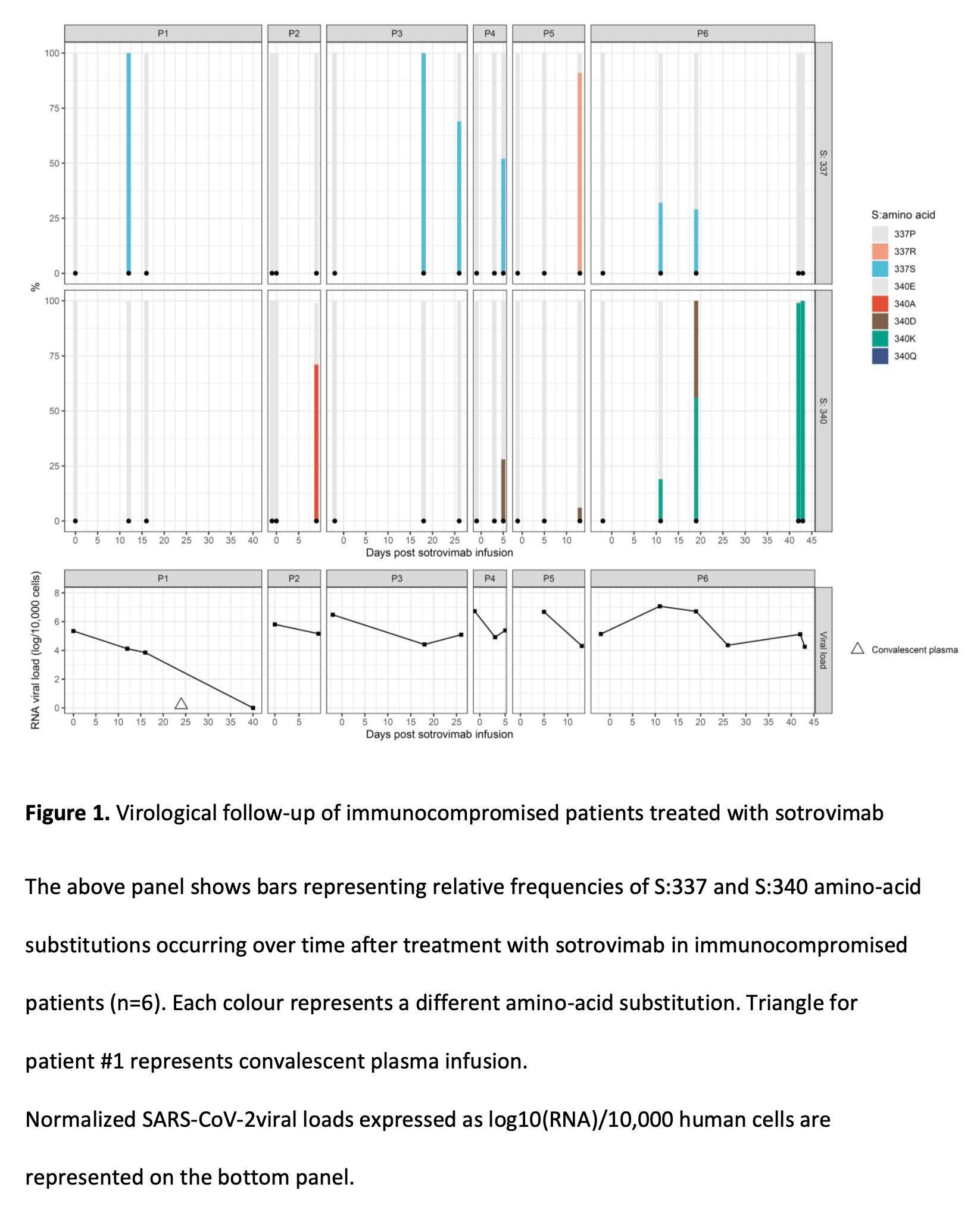 新冠病毒针对单克隆抗体药出现变异进化需关注免疫低下群体