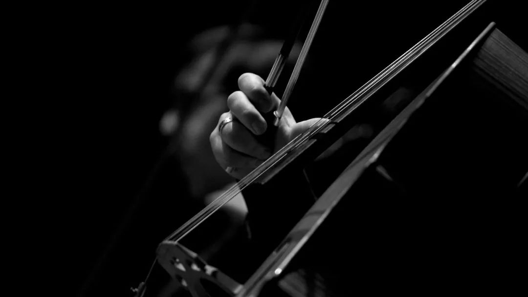 好文分享大提琴流淌的低吟轻唱仿佛心事如昙花无声开放
