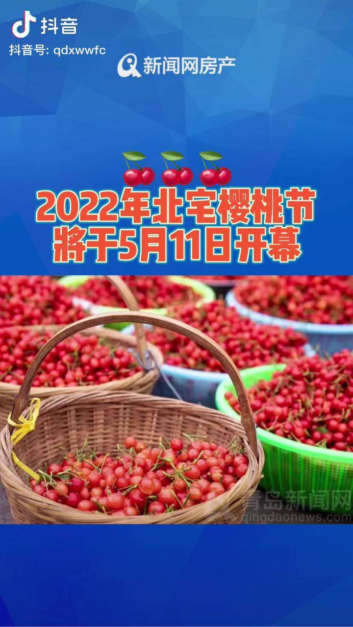 2022年北宅樱桃节将于5月11日开幕青岛樱桃北宅