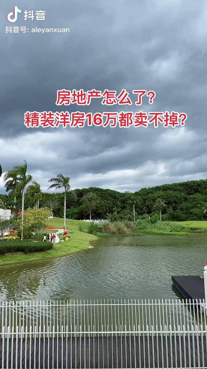 自貿港現在海南房地產怎麼了精裝洋房都賣不掉這裡是海南海南海花島