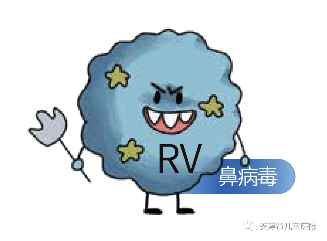 普通感冒"两个到捣蛋鬼帮":鼻病毒和冠状病毒做到勤洗手,戴口罩可以