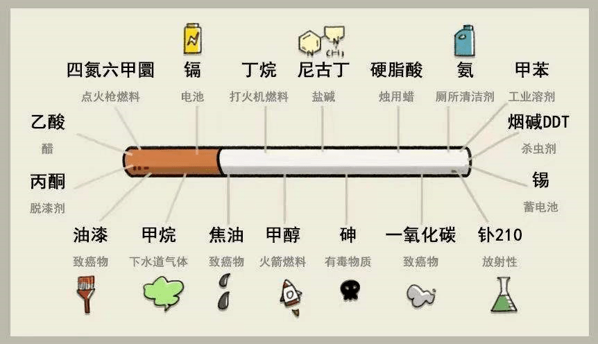 烟草的成分图片