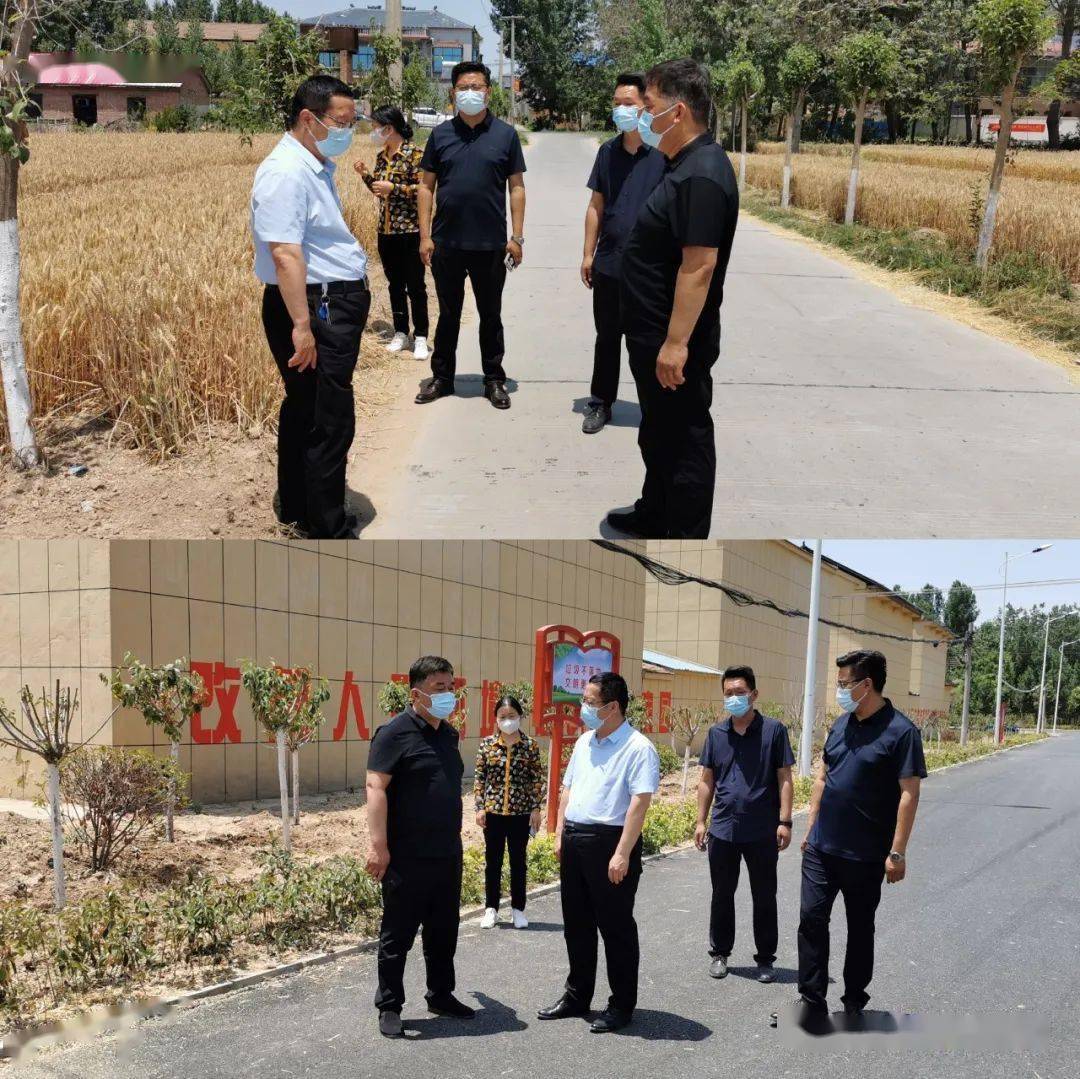 梁园区农业农村局局长张传尧调研"三夏"生产等工作_秸秆_观堂镇_王楼