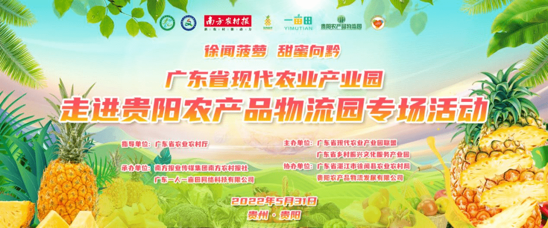 一亩田全力推动徐闻菠萝向黔进市场助力12221链动广东农产品