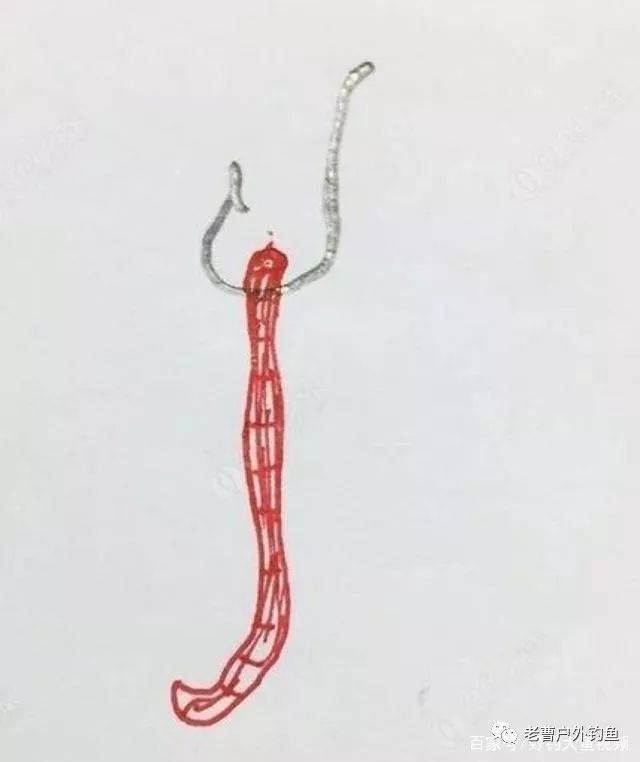 5种蚯蚓的挂法合理应用才能钓大鱼