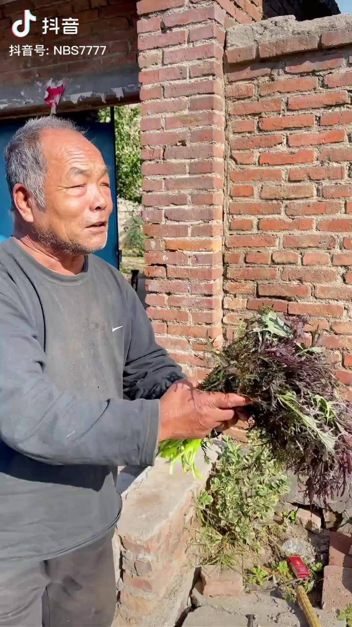 懂得分享紫水晶的李大爷农村生活山东生活日记热门dou小助手