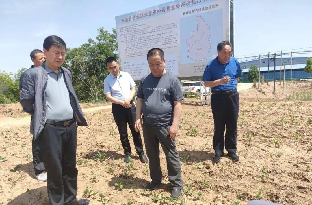 市农技站站长杨永春一行来我县督导检查大豆玉米带状复合种植工作