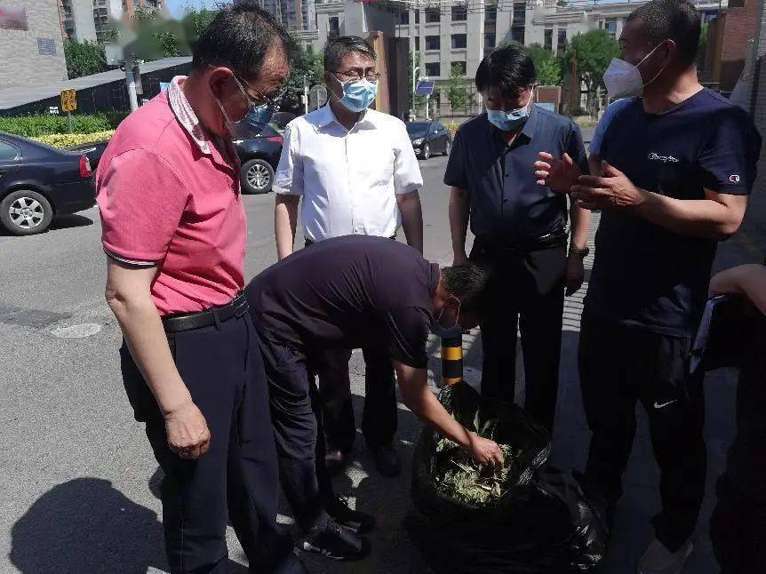 区园林绿化局局长刘晨光,一级调研员孙海江及旺泉街道办事处主任周国