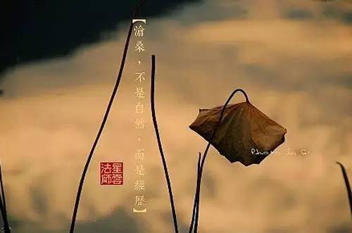 心若无尘落雪听禅