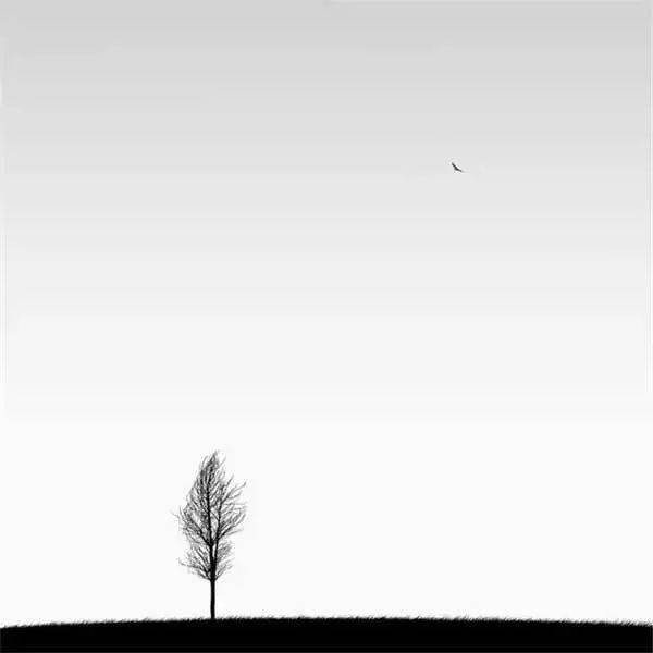 留白的境界!_意境_作品_青花瓷