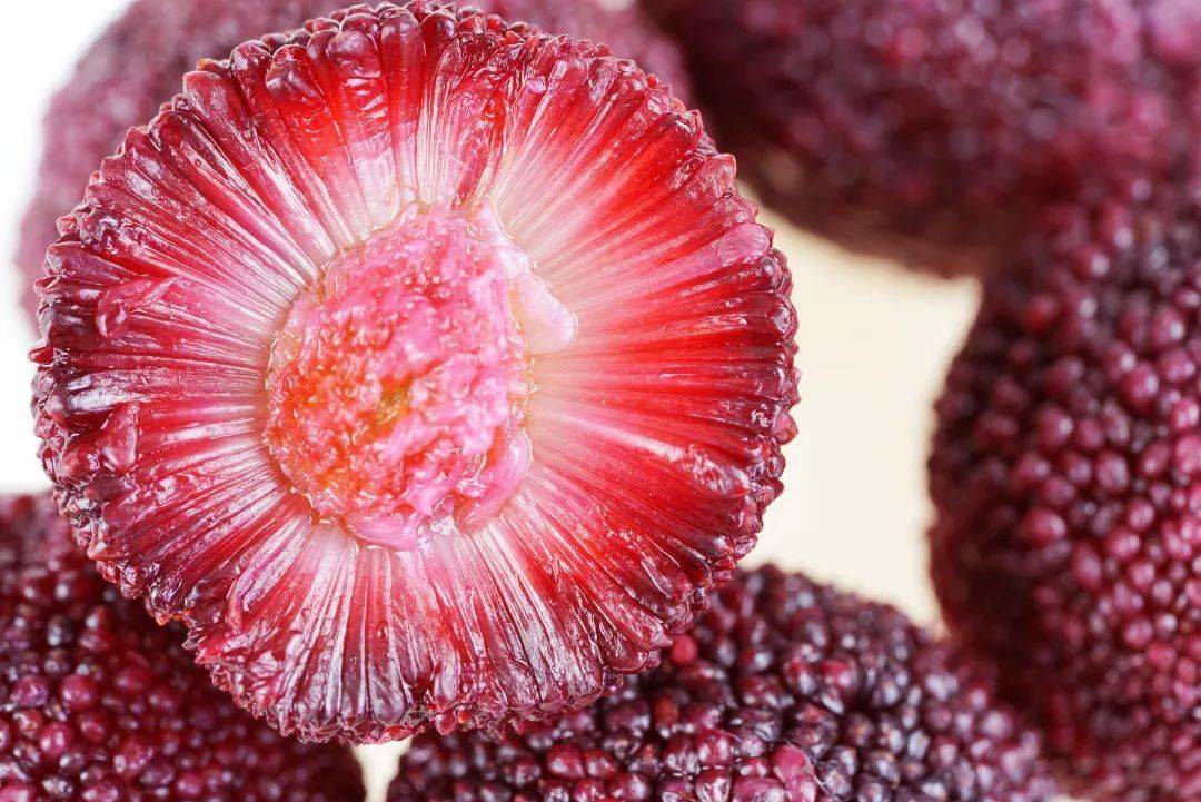 吃货有福这个周末梅好相约宜章水浸窝共度杨梅节