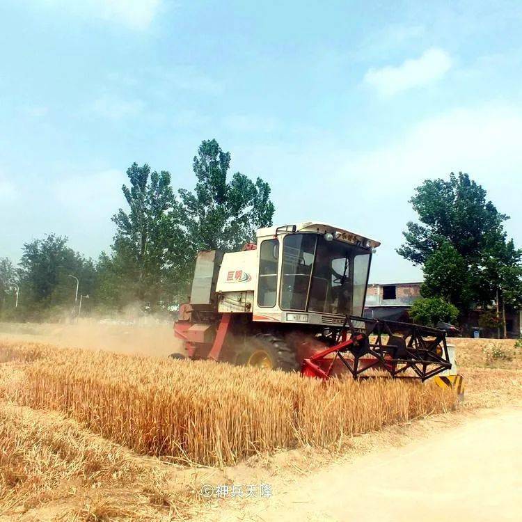 麦子_麦浪_收割机