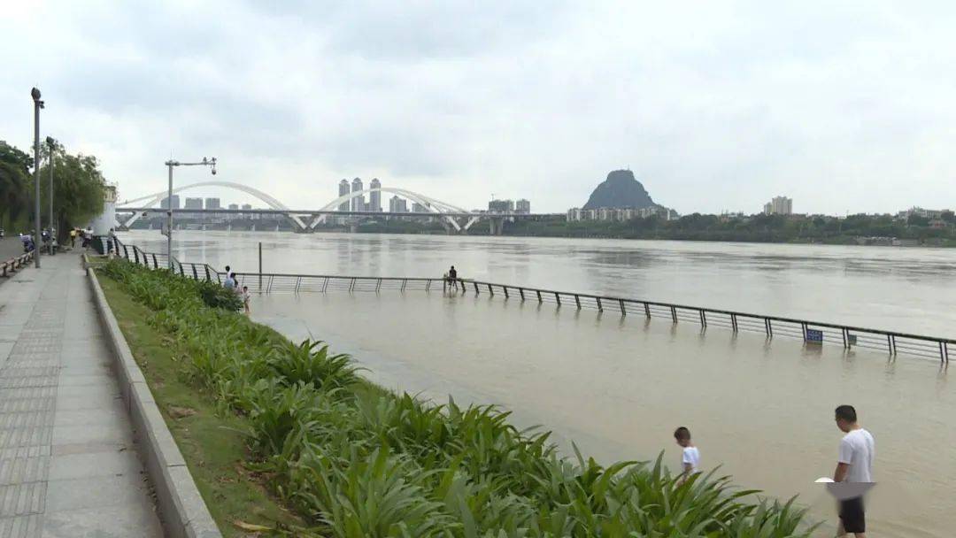 柳江河市区河段将迎今年首场超警洪水