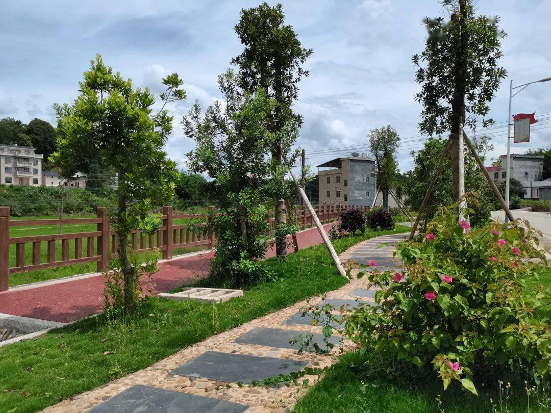 车田镇打好三张牌描绘乡村振兴三色新画卷