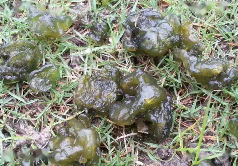 窦晓航 | 山趣_蝎子_象山_美味