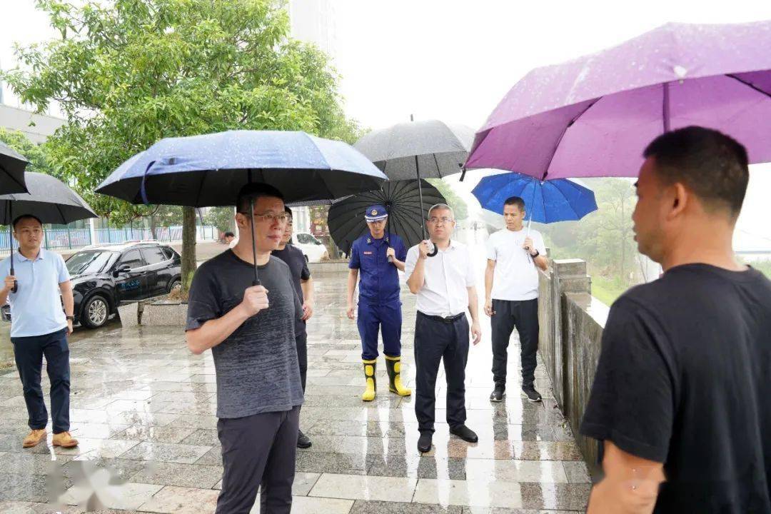 汛期来临,县长指示要这样做……_柳城县_防汛_工作