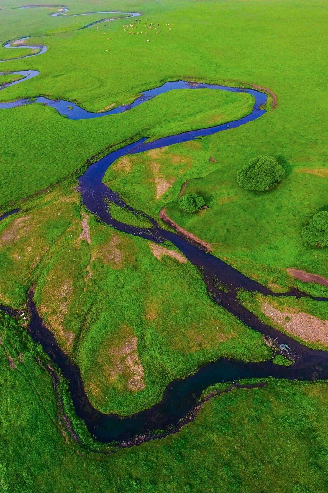 额尔古纳河,黑龙江,松花江,嫩江等河流通过这条山脉凝聚一心,孕育了