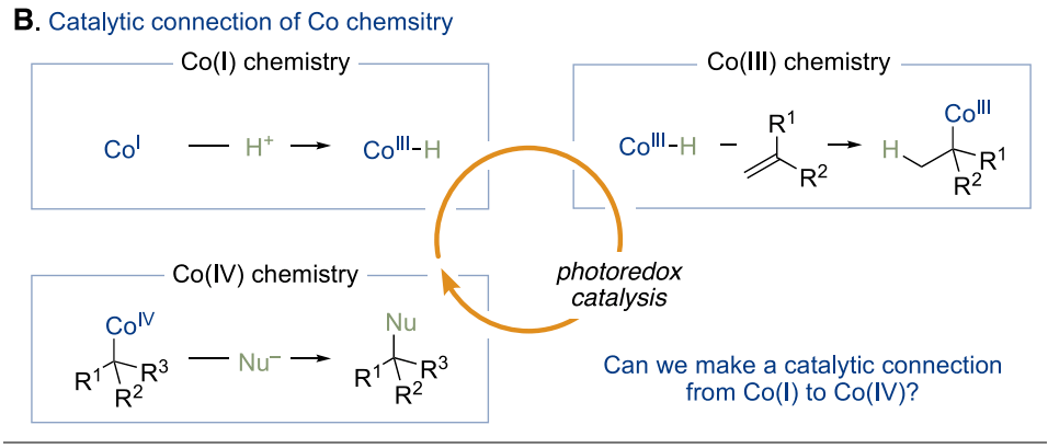 光化学反应条件助力williamson醚合成法无法实现的大位阻醚的制备