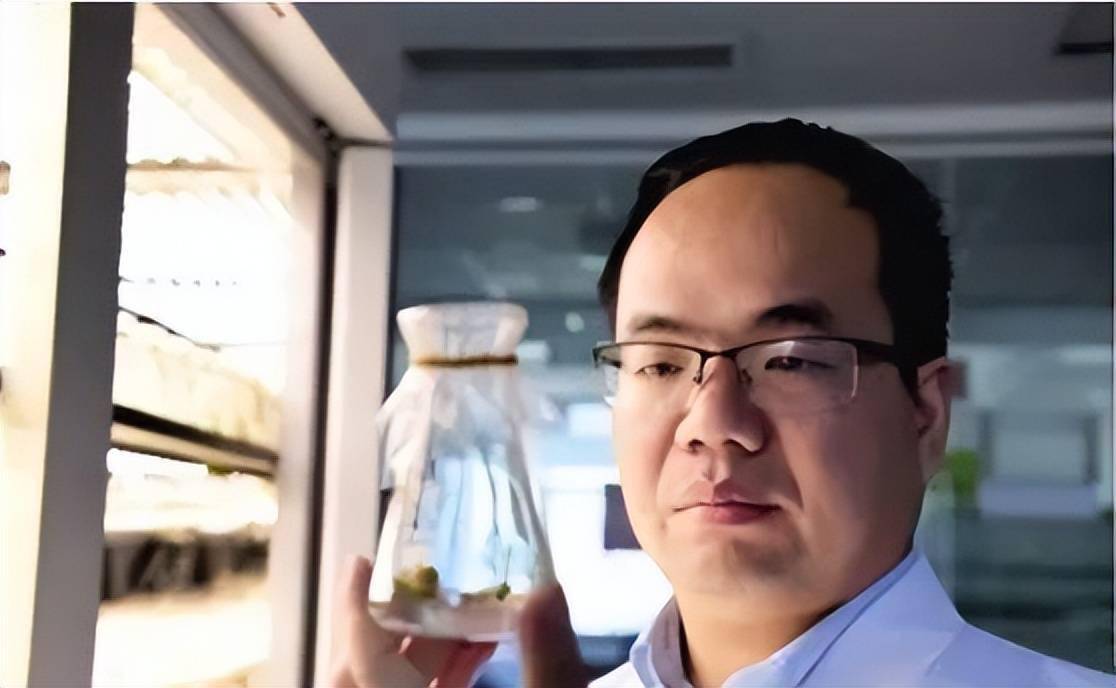 科技志愿者┃周雷以科技增添中国稻的底气