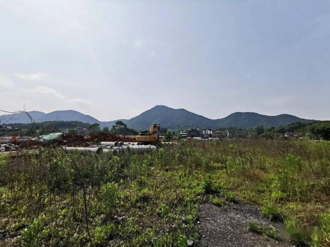 临平区你究竟在哪儿神秘的黄鹤山