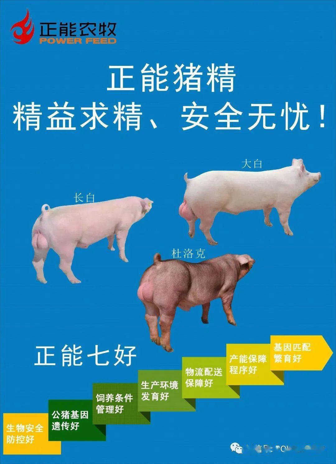 上海祥欣榆林公猪站图片