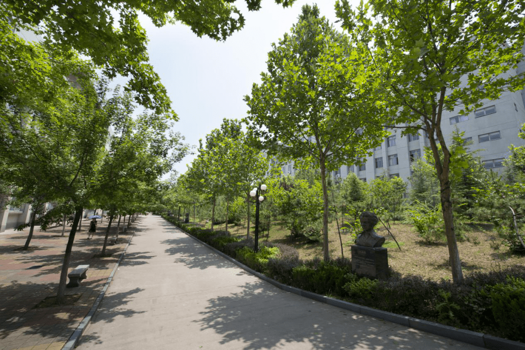 学校代码10832山东商业职业技术学院2022年普通高等教育招生章程公布