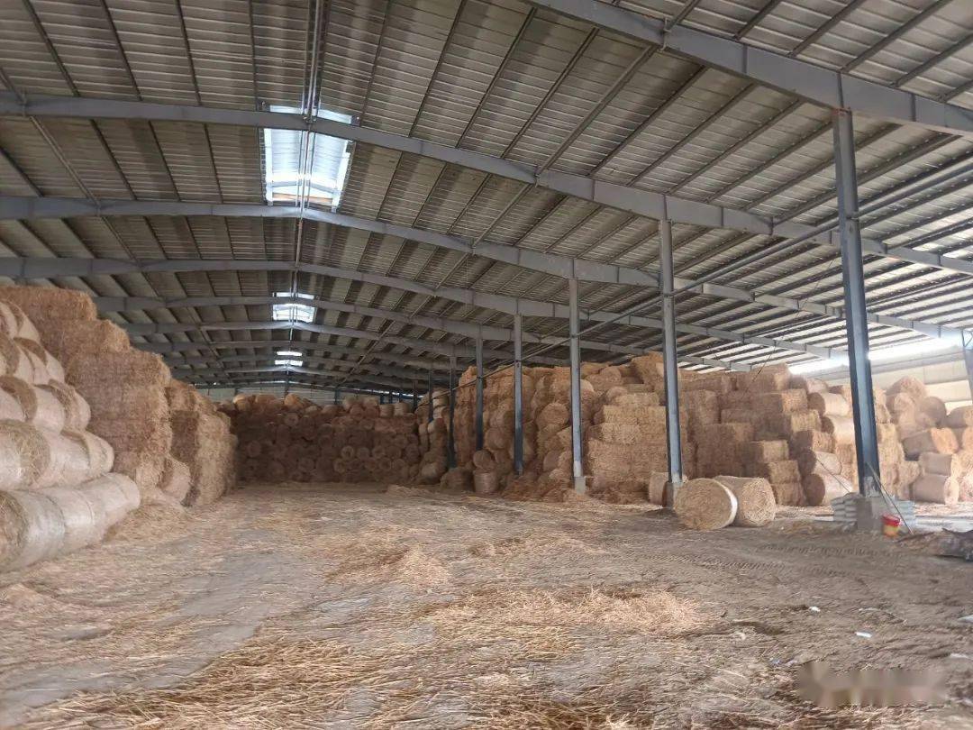怀远标准化收储中心让秸秆逆袭生金