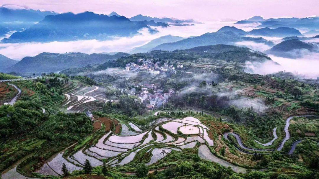 图话永嘉美丽乡村云中茗岙奏响梯田农旅最强音