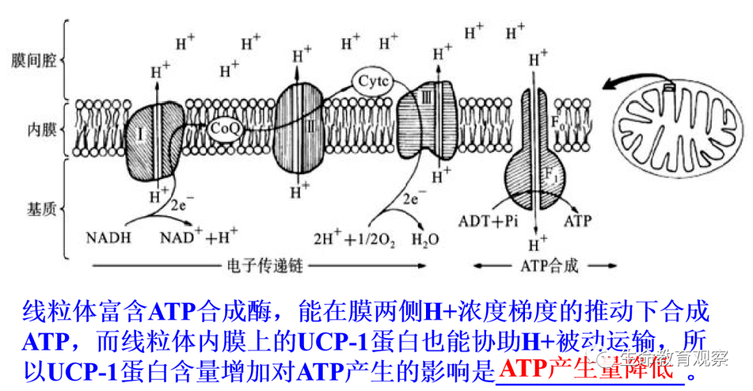 光合作用d.此信號轉導途徑可實現對細胞多項生命活動的調控c.