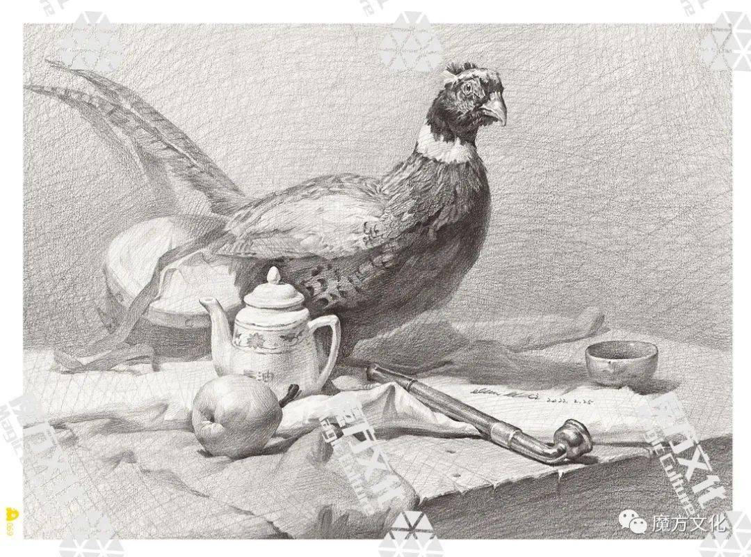 《绝对山东素描静物》顾伟-2022——核心体系,高分魔版.