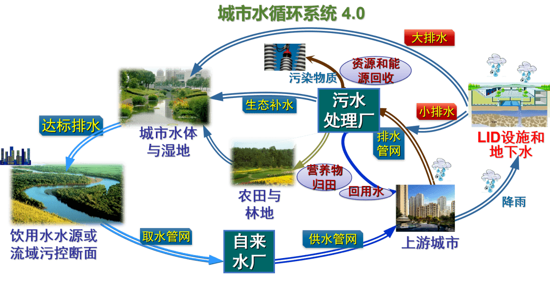 生物多樣性宣傳月帶你瞭解南寧海綿城市建設