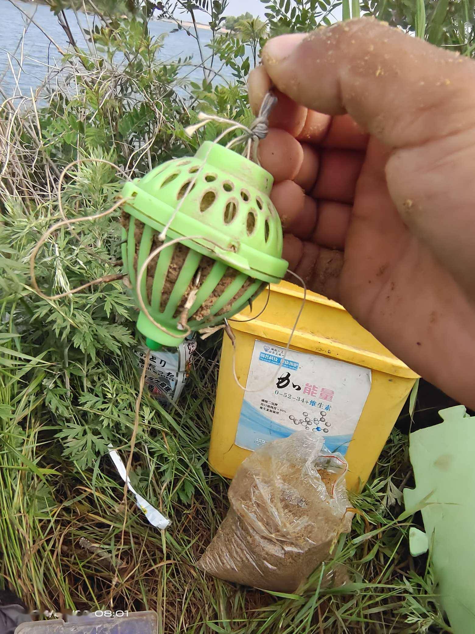 6月鱼获水怪钓鲢鳙各种上鱼各种遗憾