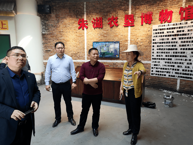 面来——孝南乡村振兴争创省级示范县(市区)纪事_孝感市_朱湖_杨店镇