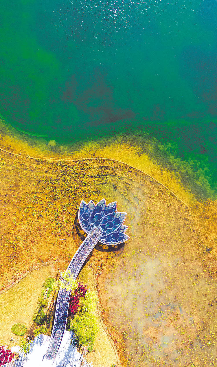 图博成都摄影师 王金城 摄大熊猫国家公园内杜鹃花盛开燕子在地铁站安