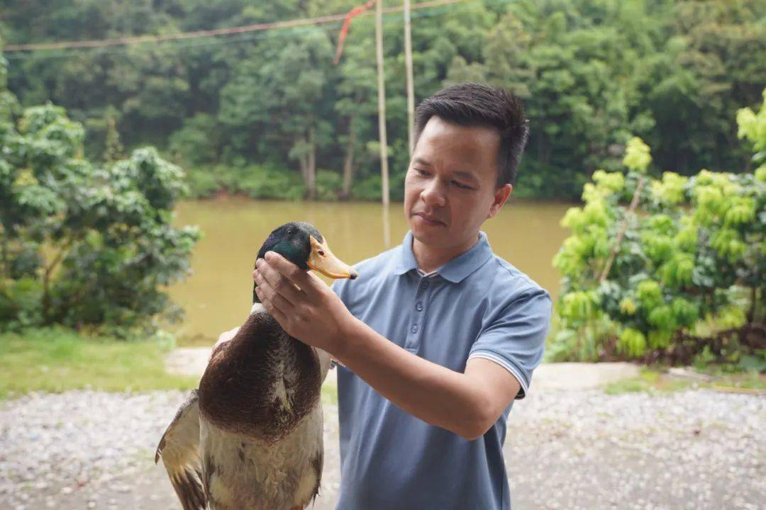 懷集原生態