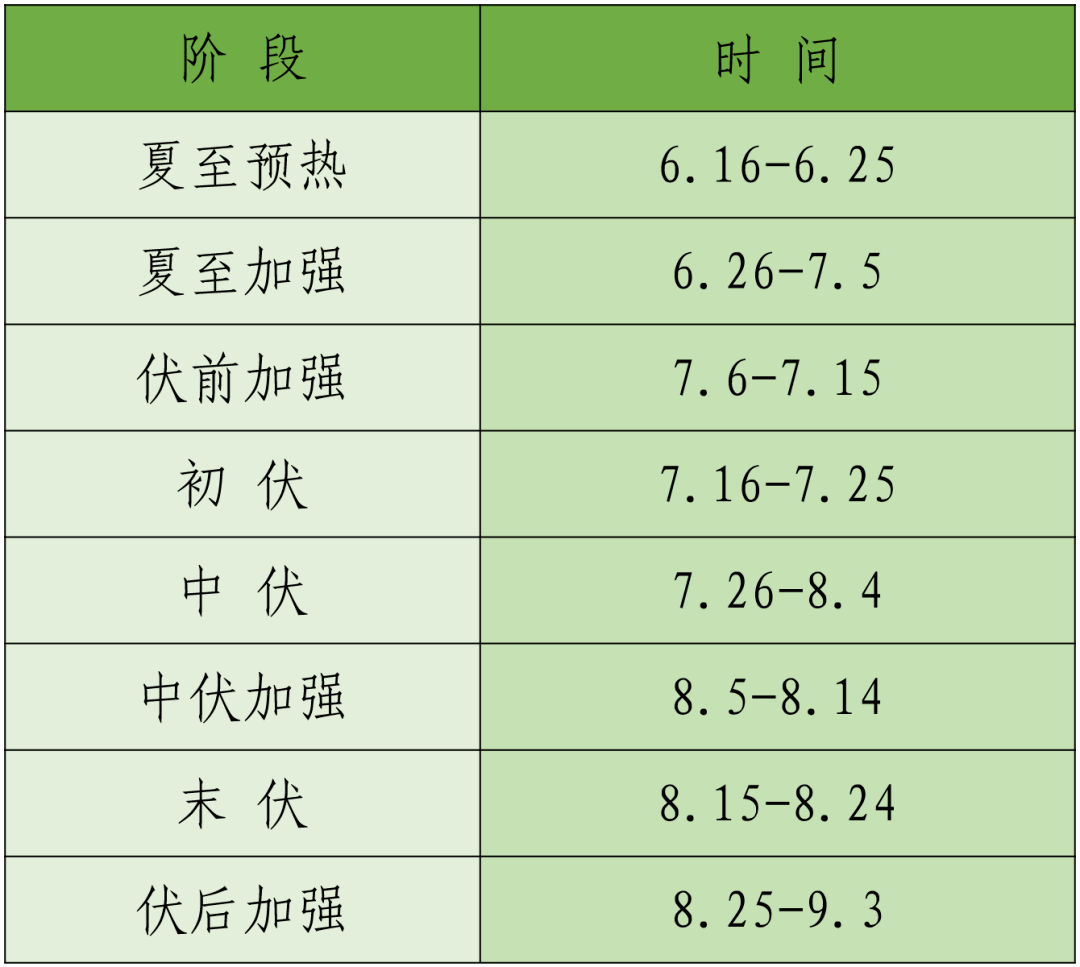 2021年三伏灸时间表图图片