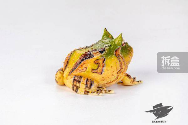 esanstoy艺尚 雨林探索 霸王角蛙 写实动物青蛙模型手办_cm_产品_高约