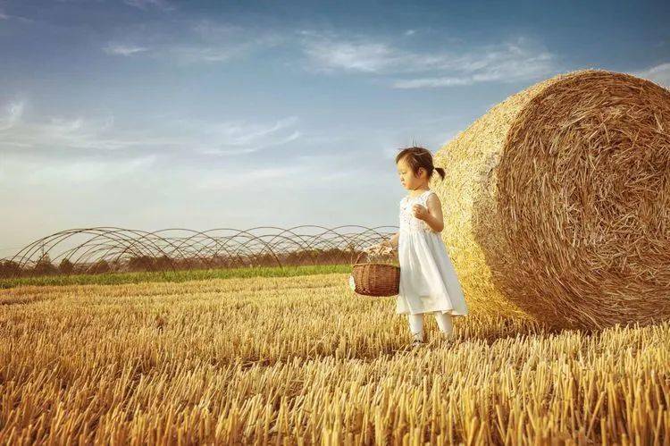 和朋友去麦田拍照,遇到一个三岁的小姑娘跟着奶奶一面玩耍,一面拾麦穗