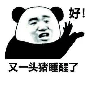 抖音熊猫吃惊表情包图片