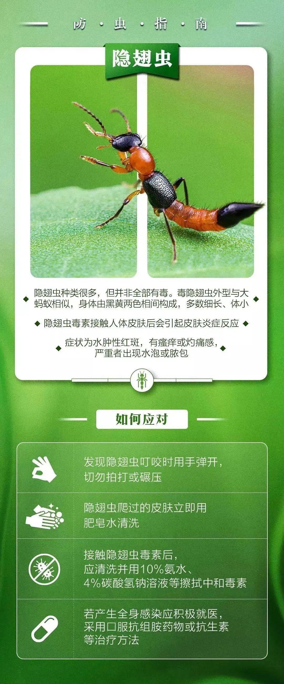 科普这个夏天如何躲避蛇蚊虫的亲近