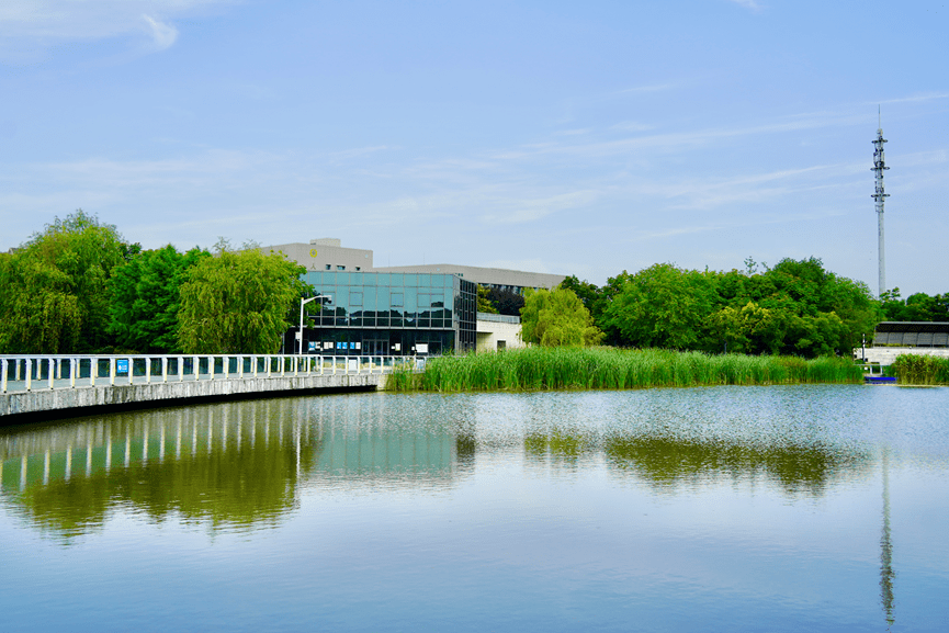 从赵巷公园停车场扫码入内,拾级而上,满目青翠,顿时豁然开朗.