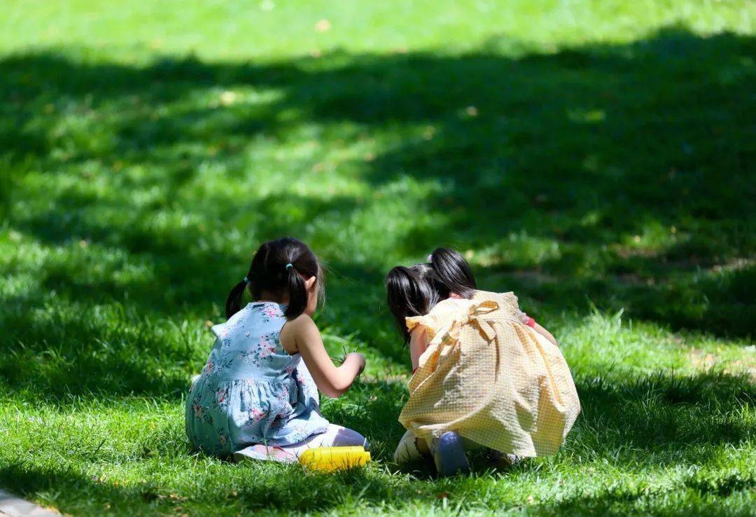 自然教育昆虫旅馆大自然中的小世界一起给昆虫建一个家