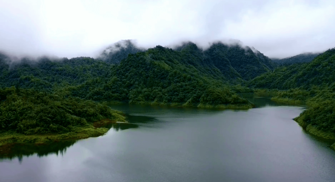 绿水青山就是金山银山,绥江县板栗镇罗坪村在提升村庄绿化水平和品质
