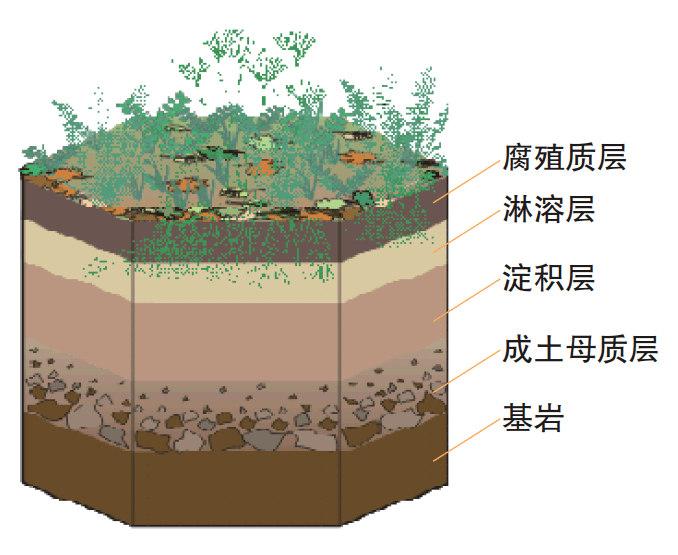 成土过程示意图四,土壤形成与成土母质三,土壤形成与地形二,土壤形成