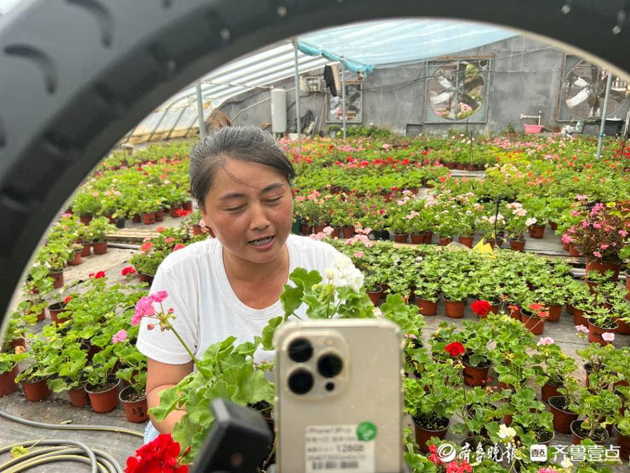 农家妇女直播卖花年收入50万,李洪娥:在山沟沟叩开一扇致富门_村里